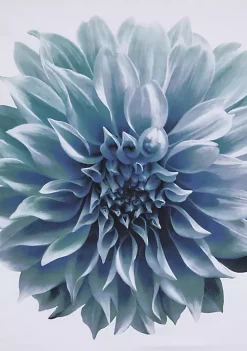 Discount ⌛ Madison Park Norah 200TC Cotton Percale Shower Curtain 🎉 -Madison Park Shop Belk 1587