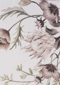 Best reviews of 🥰 Madison Park Cassandra Printed Cotton Shower Curtain 🔔 -Madison Park Shop Belk 1990